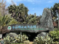 -苍山感通索道
