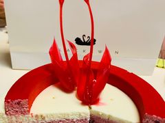 -BLACKSWAN黑天鹅(环球店)