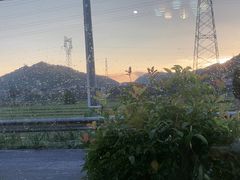 -李东农庄(中南百草园地标店)