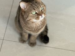 -瑞派·关忠动物医院·猫专科·犬专科(三环新城店)