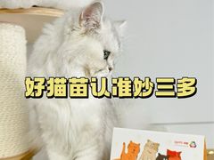 -瑞派·关忠动物医院(国瑞店)