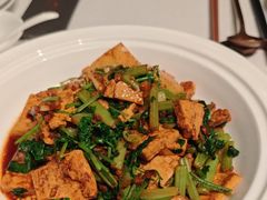 肉末烧地锅豆腐-阿五黄河大鲤鱼(海尚店)