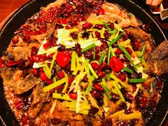 -老板恋上鱼(高新万达店)