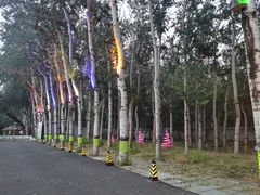 -枫花园汽车电影院(朝阳公园店)