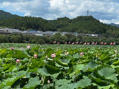 -古田会议纪念馆