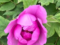 -合肥三国新城遗址公园