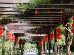 -白马涧龙池景区