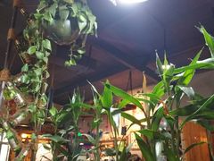 -小媳妇铁锅炖(安华街店)