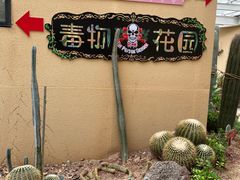 -正佳雨林生态植物园