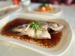-云中小雅