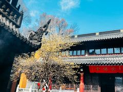 -灵谷景区