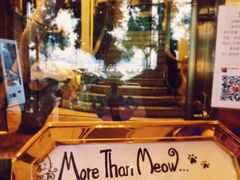 -more than meow吴止猫主题餐厅(承德 中船汇店)