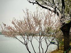 -颐和园
