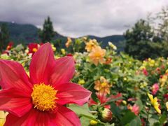 -名花谷生态庄园