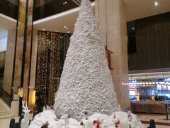 -中山利和希尔顿酒店