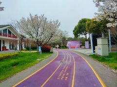 -尚贤河湿地