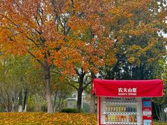 -济南国际园博园