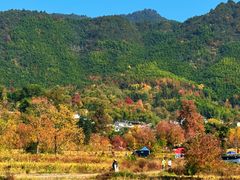 -塔川景区