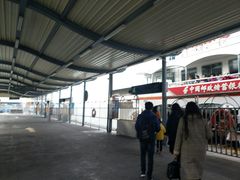 -国际邮轮中心码头(厦鼓码头)