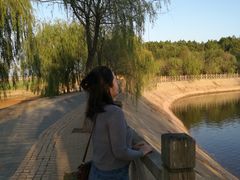 -鄱阳湖国家湿地公园