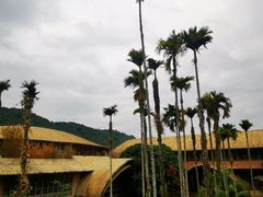 -海南槟榔谷黎苗文化旅游区
