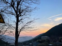 -老张烤羊(王哥庄店)