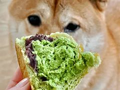 自家红豆抹茶面包-WHEAT&BAKER麥(高新创合中心店)