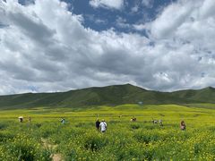 -扁都口生态休闲旅游区