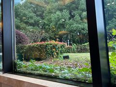 -潮府馆·非遗潮州菜·港式点心(世纪公园店)