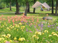 -上海吴淞炮台湾国家湿地公园