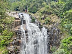 -海南热带雨林国家公园吊罗山景区