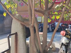 -福州开元寺