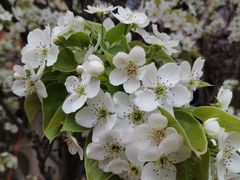 -南浔庄私房菜