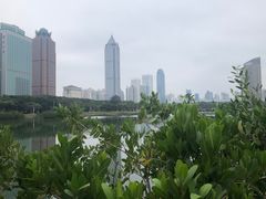 -万绿园