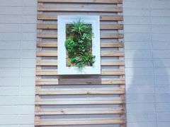 景观位-先机泉水鸡汤(南山老君洞店)