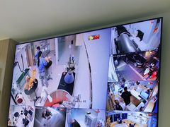 -鼎级派宠物(中南店)