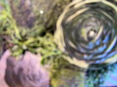 -艺水间水汇