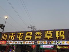 -盐禾堂海南屯昌香草鸭(总店)