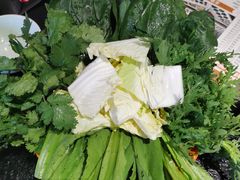 -城南老友羊蝎子火锅(花乡奥莱店)