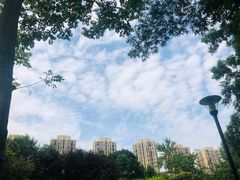-龙头寺公园