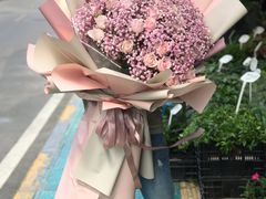 -溪岸路花鸟市场