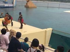 -秦皇岛乐岛海洋王国