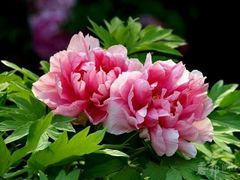 android_upload_pic-亿尾水席(奥体中心店)