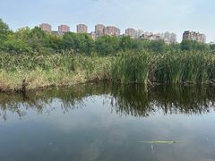 -前关湿地公园