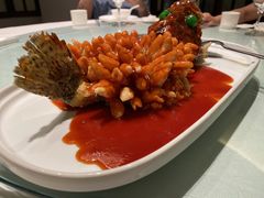 松鼠桂鱼-松鹤楼(狮山永利广场店)