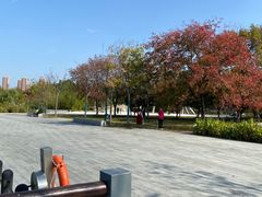 -白塘生态植物园