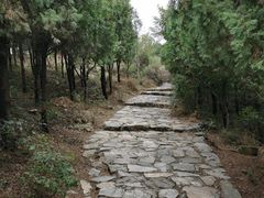 -涂山风景区