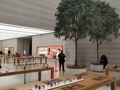 -Apple零售店(济南恒隆广场店)