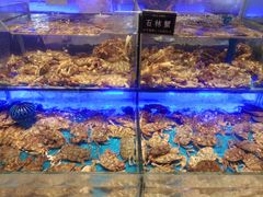 -SEA西雅图海鲜自助餐厅(海乐世界店)