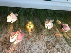 -亚马逊丛林水乐园